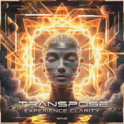 Обложка Transpose (CA) - Experience Clarity (Original Mix)