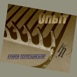 Cover Опыт