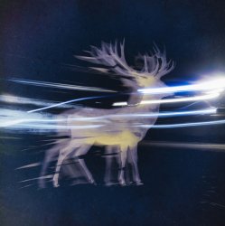 Cover Albedo Waves - Le Feu Sauvage