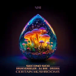 Pochette Orisma & DJ Bim feat. Kata - Requiem To A Dream (Original Mix)