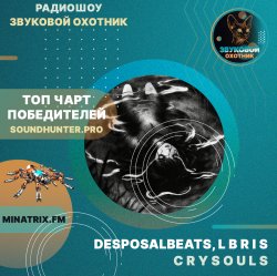 Cover DesposalBeats, L B R I S - crysouls