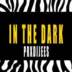 Обкладинка IN THE DARK