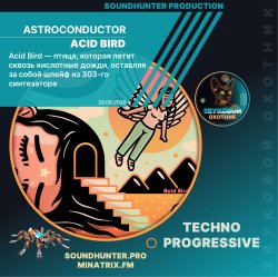 Обложка Astroconductor - Acid Bird