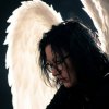 Обложка Вия (Viya) - Fallen angel Вия (Viya) - Fallen angel