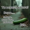 Pochette Вия (Viya) - Кабачок Вия (Viya) - Кабачок