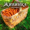 Мұқаба Живинка - Морошка Живинка - Морошка