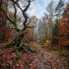 Portada MusicOnlineUA - Autumn, autumn ( English Version) MusicOnlineUA - Autumn, autumn ( English Version)