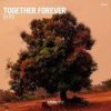 Portada DJ PD - Together Forever DJ PD - Together Forever