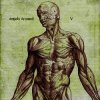 Обложка Angels Around - Vesta Angels Around - Vesta