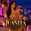 Portada remix Micke Leone - Juanita by Gino Baci remix Micke Leone - Juanita by Gino Baci