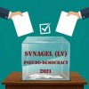 Обложка SVnagel ( LV ) - Pseudo-democracy SVnagel ( LV ) - Pseudo-democracy