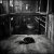 Cover SerDi - Concrete Lungs