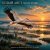 Обложка ViTaLiKuS - БЕЛЫЙ АИСТ (WHITE STORK)