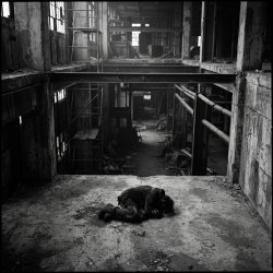 Обложка SerDi - Concrete Lungs