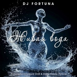 Обкладинка DJ FORTUNA - Живая вода (Russian Edition)