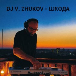 Cover Dj Vasya Zhukov - Шкода