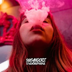 Обложка 90bangerz, DJ Combo - Run The Night