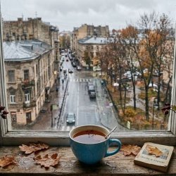 Cover Blue cup