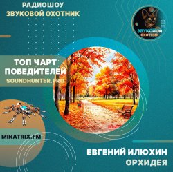 Обложка Евгений Илюхин - Орхидея