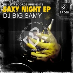 Cover DJ Big Samy - Feel The Music (Original Mix)