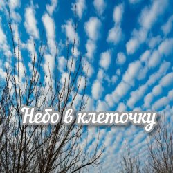 Небо в клеточку