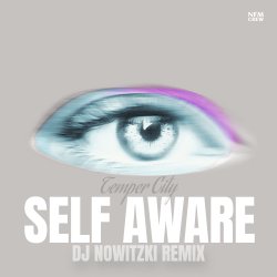 Обложка Temper City - Self Aware (DJ Nowitzki Remix)