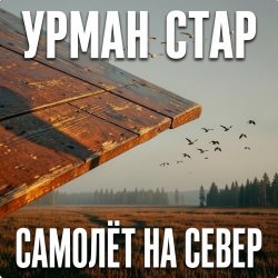 Самолёт на север