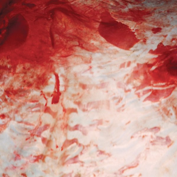 Обкладинка