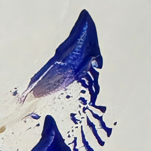 Обкладинка