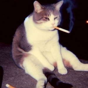 Обкладинка