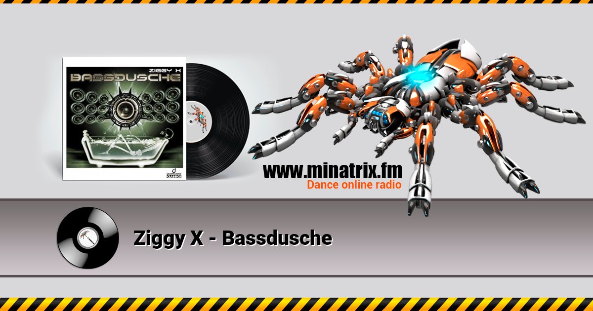 Ziggy X - Bassdusche Ziggy X - Bassdusche скачать бесплатно