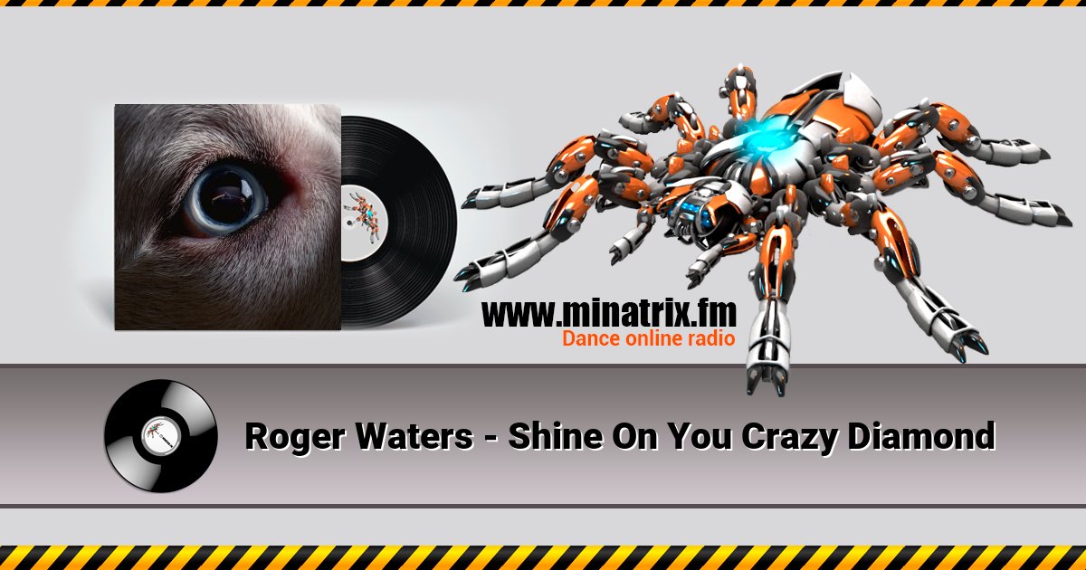 Roger Waters - Shine On You Crazy Diamond Roger Waters - Shine On You Crazy Diamond скачать бесплатно