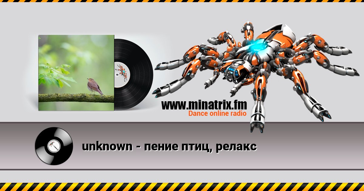 unknown - пение птиц, релакс unknown - пение птиц, релакс скачать бесплатно