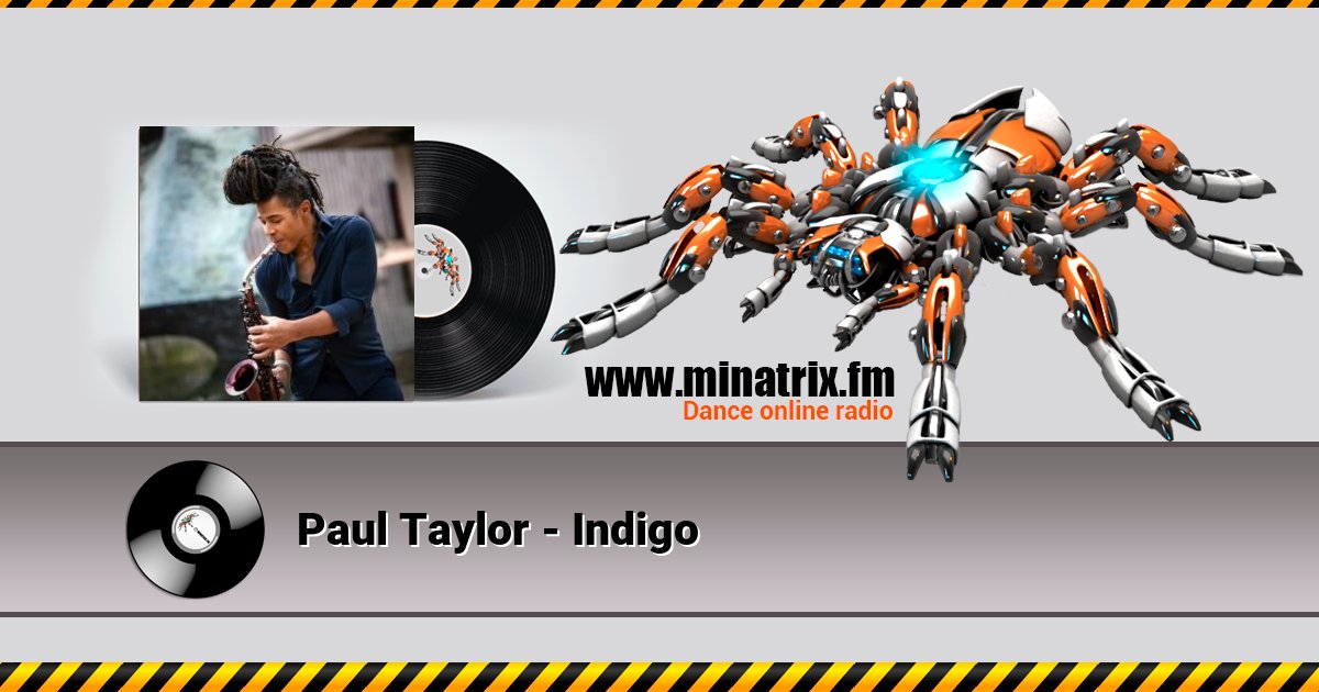 Paul Taylor - Indigo Paul Taylor - Indigo скачать бесплатно