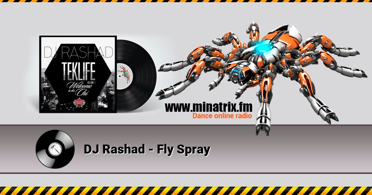 DJ Rashad - Fly Spray  