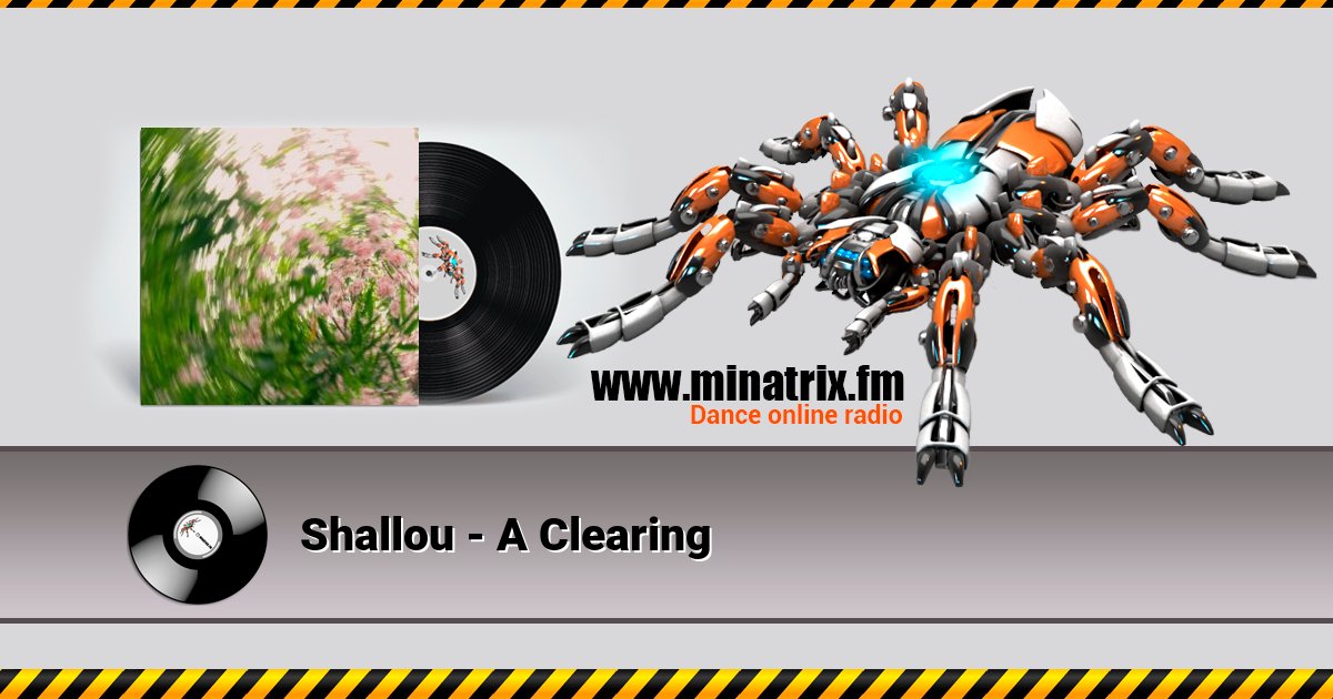 Shallou - A Clearing Shallou - A Clearing скачать бесплатно