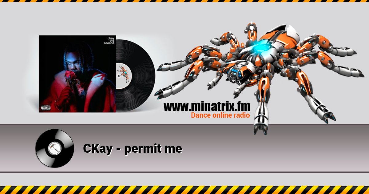 CKay - permit me CKay - permit me скачать бесплатно
