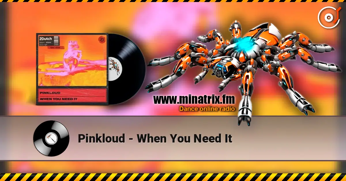 Pinkloud - When You Need It online in hoher Qualität hören | Minatrix.FM
