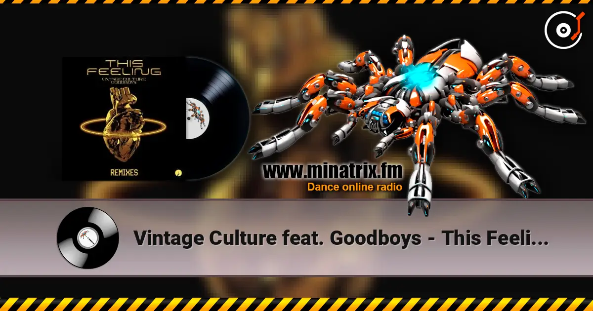 Vintage Culture feat. Goodboys - This Feeling (Velvet Mode And Chris Arna Remix) online in hoher Qualität hören | Minatrix.FM