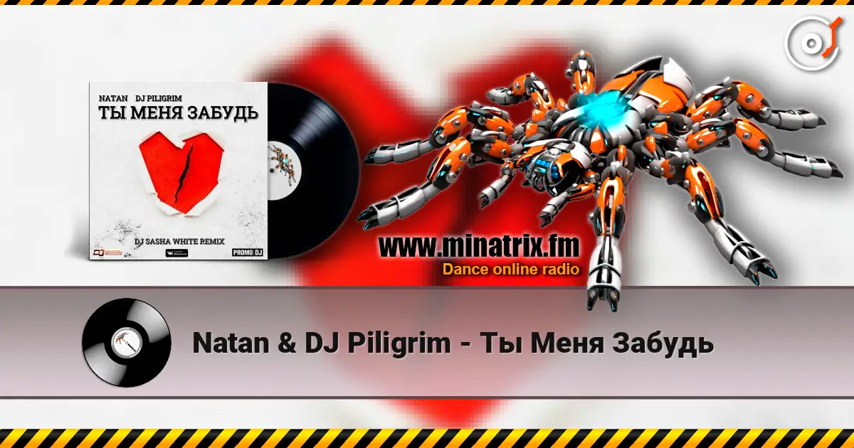 Natan & DJ Piligrim - Ты Меня Забудь слухати онлайн у високій якості | Minatrix.FM
