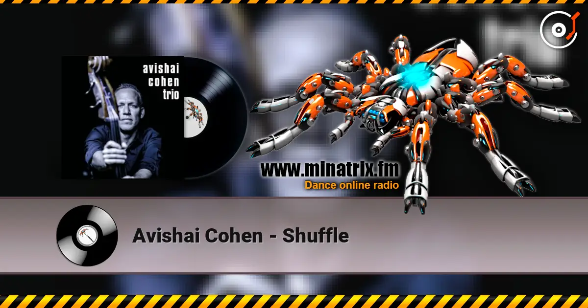 Avishai Cohen - Shuffle слушать онлайн в высоком качестве | Minatrix.FM