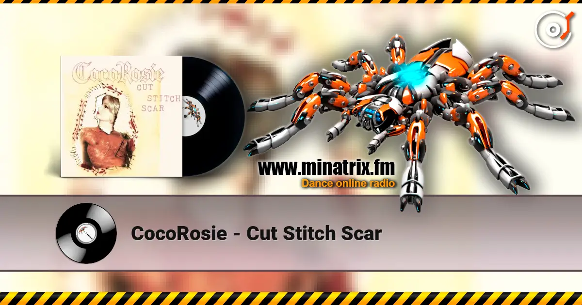 CocoRosie - Cut Stitch Scar слушать онлайн в высоком качестве | Minatrix.FM