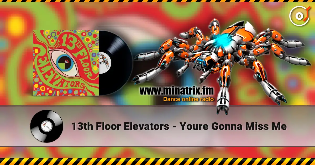 13th Floor Elevators - Youre Gonna Miss Me слушать онлайн в высоком качестве | Minatrix.FM