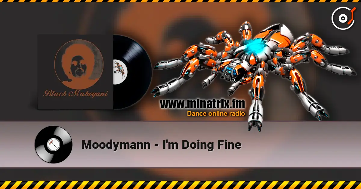 Moodymann - I'm Doing Fine online in hoher Qualität hören | Minatrix.FM