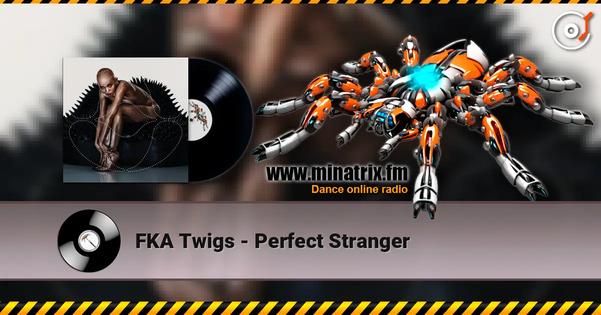 FKA Twigs - Perfect Stranger online in hoher Qualität hören | Minatrix.FM