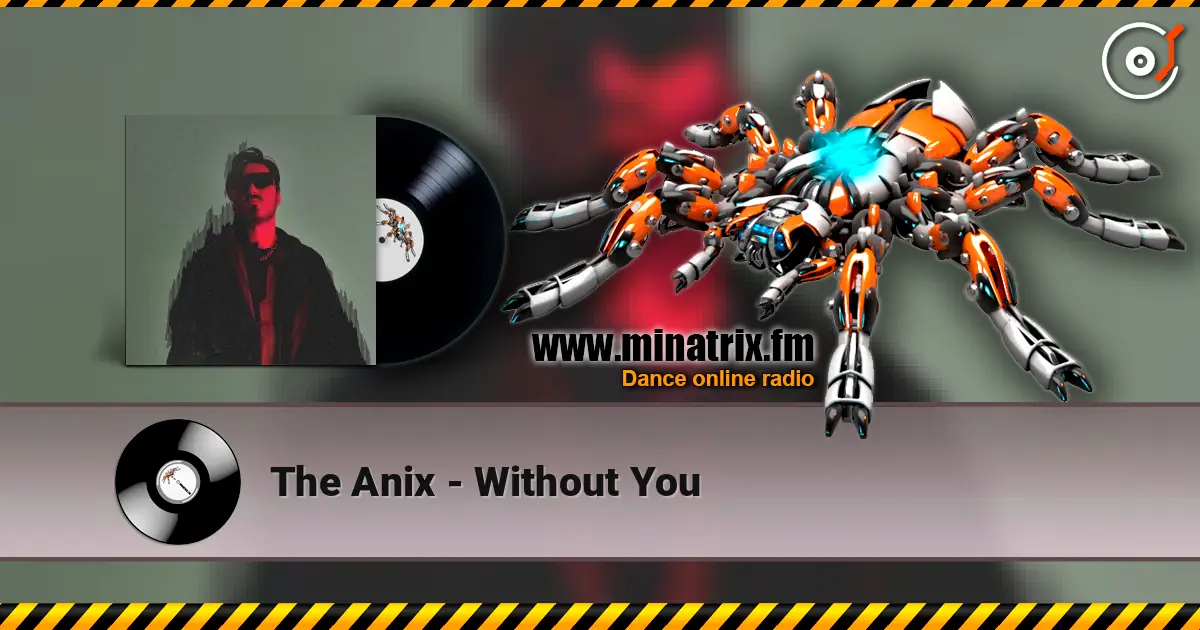The Anix - Without You слушать онлайн в высоком качестве | Minatrix.FM