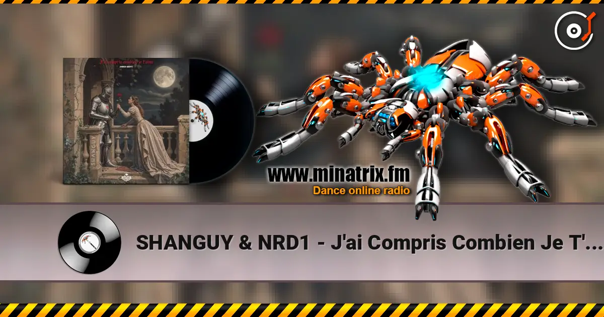 SHANGUY & NRD1 - J'ai Compris Combien Je T'aime online in hoher Qualität hören | Minatrix.FM