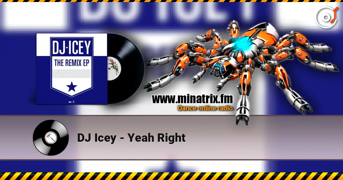 DJ Icey - Yeah Right слушать онлайн в высоком качестве | Minatrix.FM