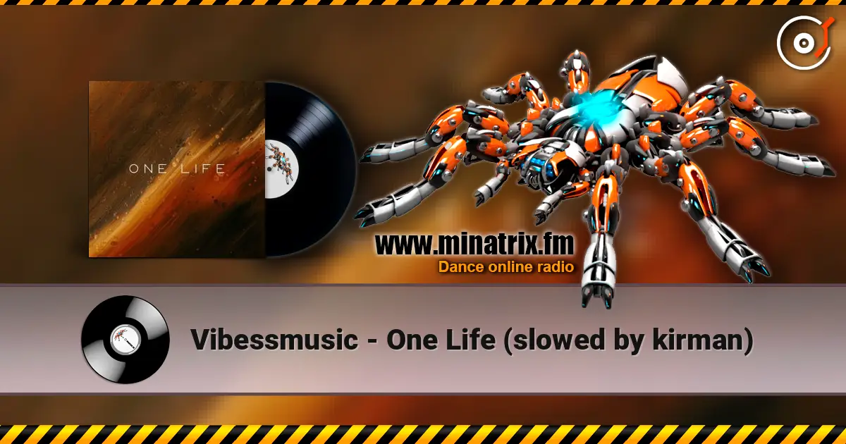 Vibessmusic - One Life (slowed by kirman) слухати онлайн у високій якості | Minatrix.FM
