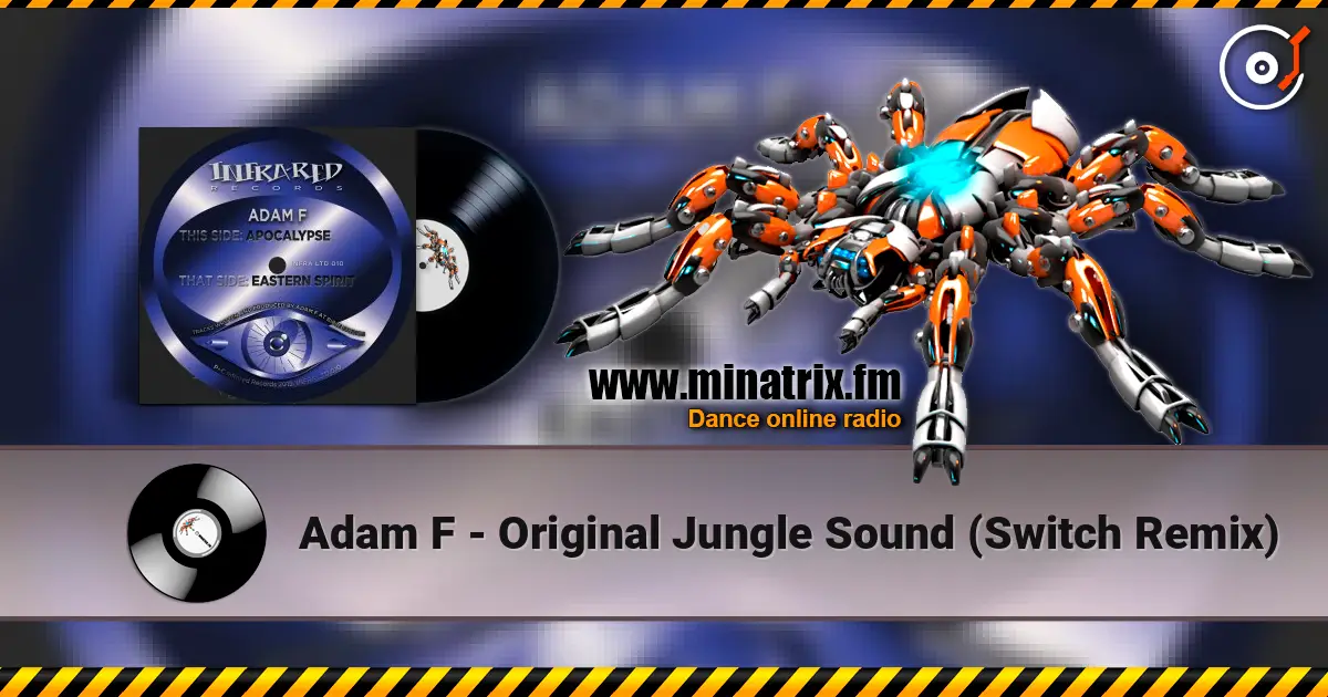 Adam F - Original Jungle Sound (Switch Remix) слушать онлайн в высоком качестве | Minatrix.FM